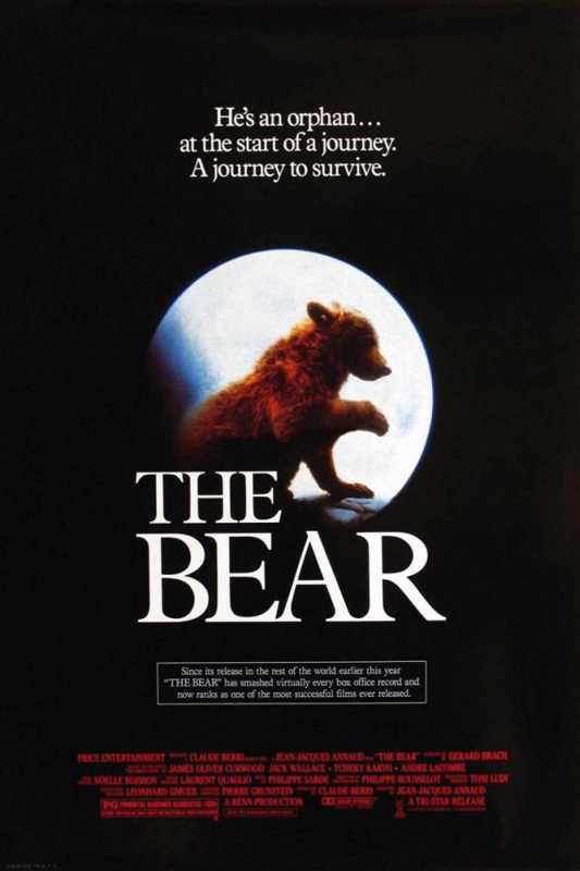 The Bear The Bear