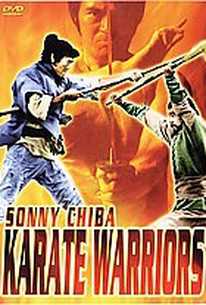 Karate Warriors Karate Warriors