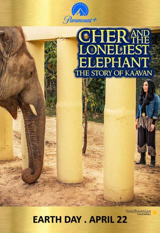 Cher & the Loneliest Elephant Cher & the Loneliest Elephant