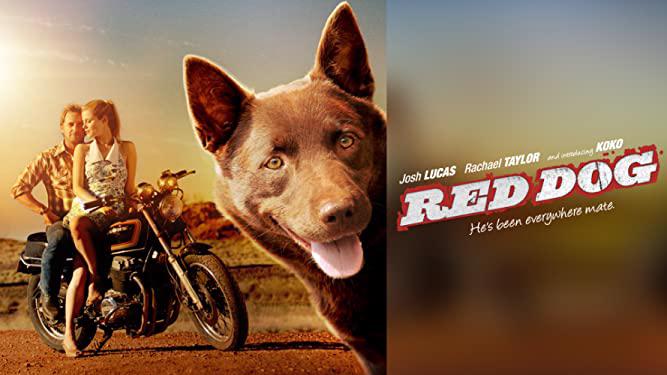 Red Dog Red Dog